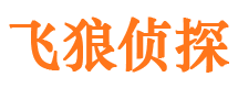 湘阴市私家侦探